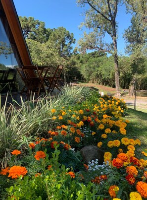 Baita, vista giardino | Terrazza/patio