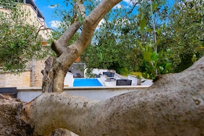 A tree branch in the foreground with a pool and lounge chairs in the background.