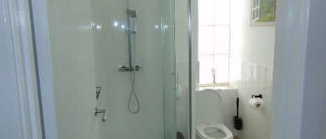 A bathroom with a glass-enclosed shower, a toilet, and a window with a view of greenery.