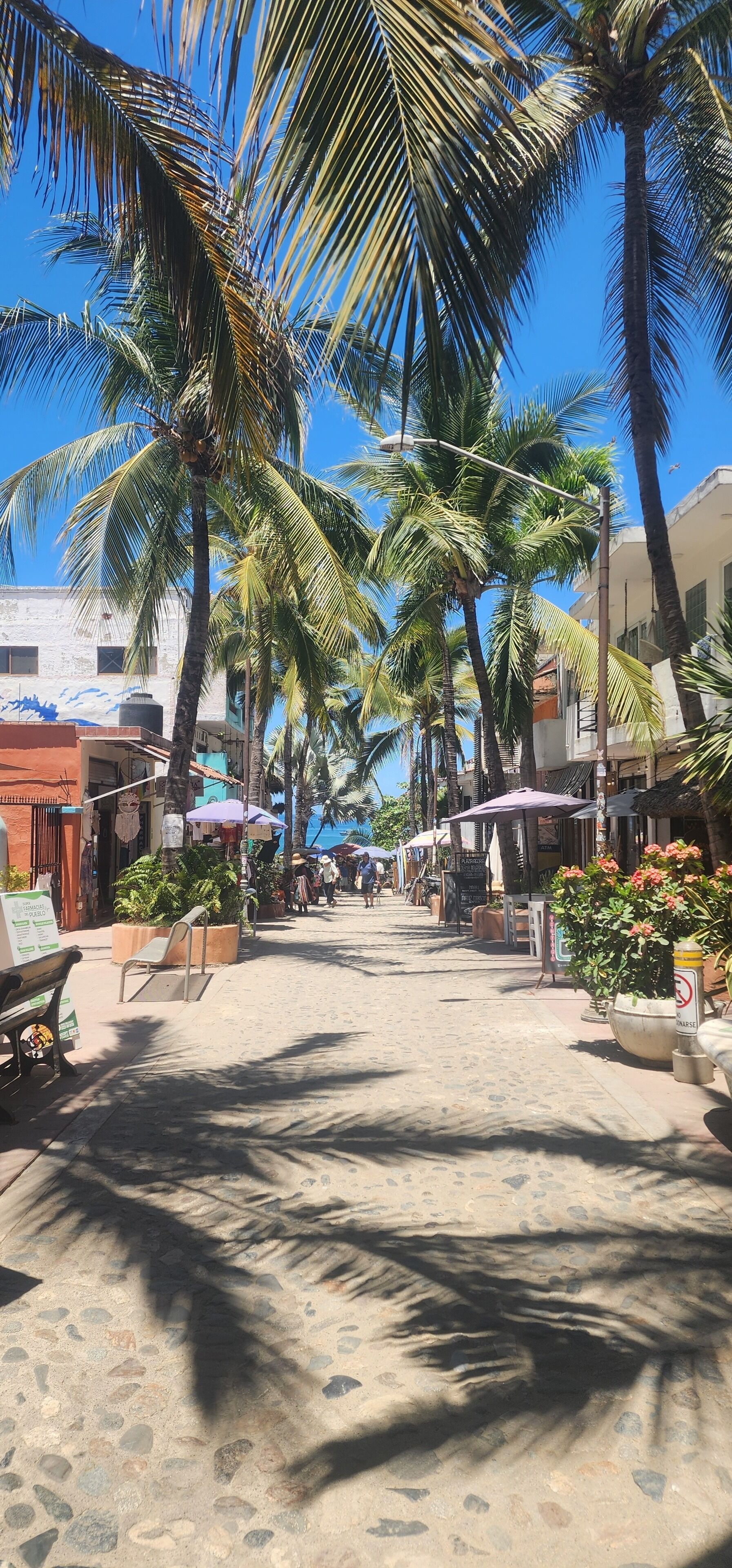 A street lined with palm trees and buildings, with a clear blue sky.