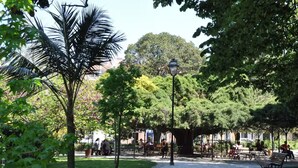 Ein Park mit Bänken, Bäumen und einer Straßenlaterne.
