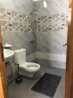 Hair dryer, towels, soap, toilet paper