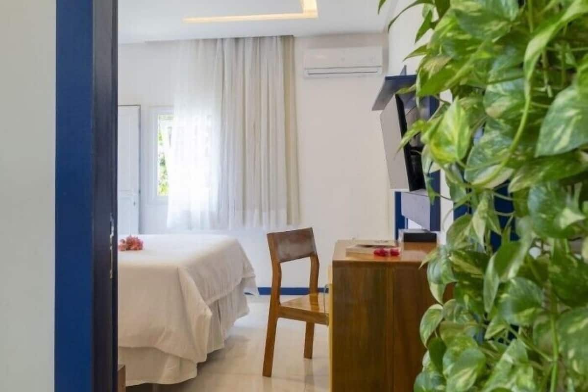 Une chambre à coucher avec un lit, une chaise en bois, un bureau et une plante en pot.
