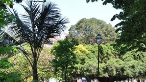 A park with benches, trees, and a lamp post.