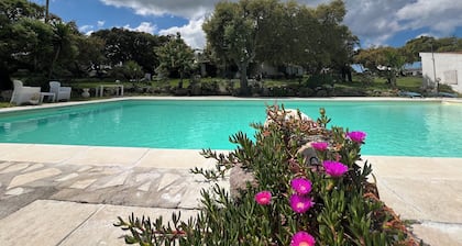 DOMO MEA beautiful farmhouse immersed in theSardinian countryside an its animals