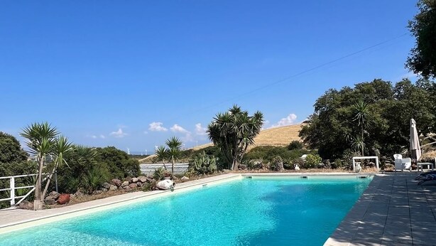 A rectangular swimming pool with clear blue water, surrounded by a tiled deck and palm trees. - DOMO MEA beautiful farmhouse immersed in theSardinian countryside an its animals (Nulvi)
