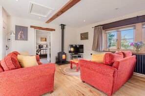 Una televisión, una chimenea