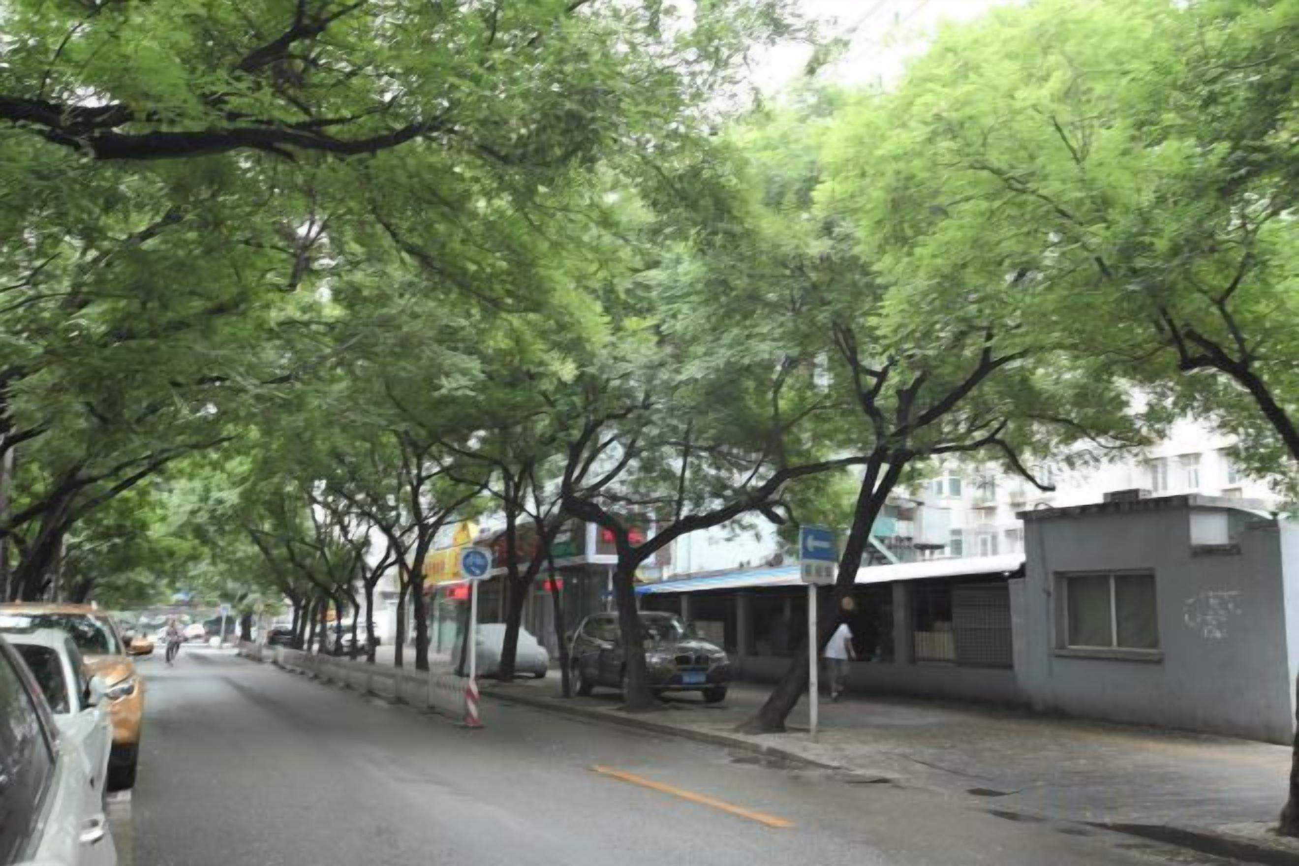 Une rue bordée d’arbres, avec des voitures garées et des immeubles.
