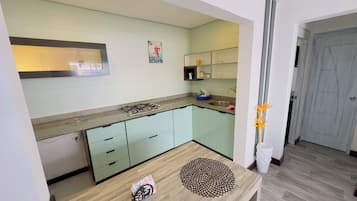 Fridge, stovetop, blender, cookware/dishes/utensils