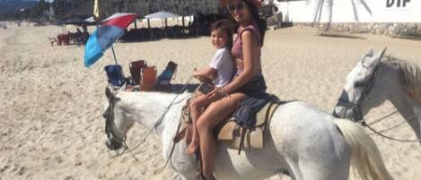 A person riding a horse on a sandy beach with palm trees and a thatched-roof structure in the background.