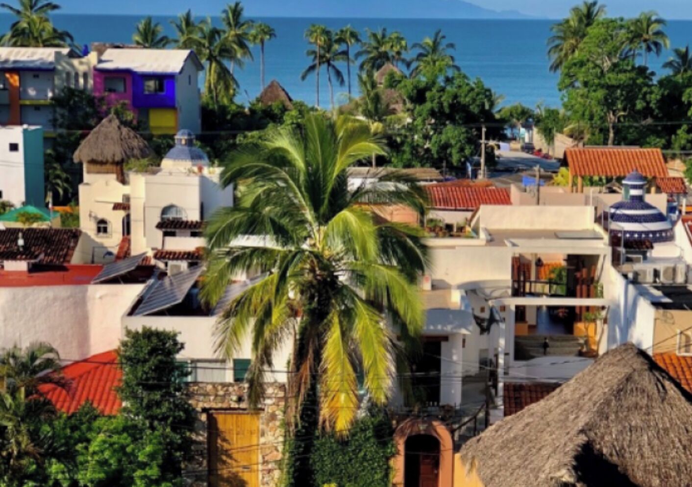 A coastal town with colorful buildings, a prominent palm tree, and a view of the sea.