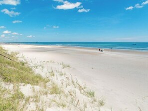 En bred, sandet strand med sparsom vegetation i forgrunden og en klar, blå himmel.