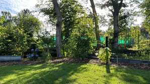 A well-maintained garden with a variety of trees, a grassy lawn, and a metal fence.