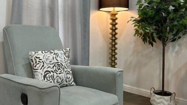 A room with a grey armchair, a patterned pillow, a floor lamp, a potted plant, and a wall-mounted artwork. - Lemon Home - 2 Queen BR (Edinburg)
