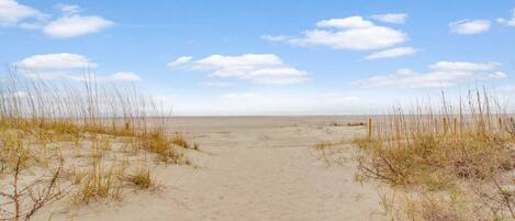 En sti gennem sand ved stranden, kantet af højt græs, der fører mod havet under en klar himmel.