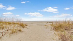 Un sendero arenoso en la playa bordeado por vegetación escasa.