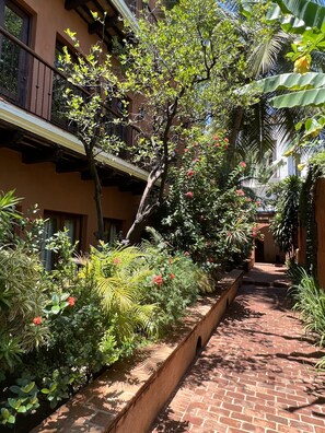 Exterior - Paseo Colonial - Ermitage 5 (Santo Domingo)