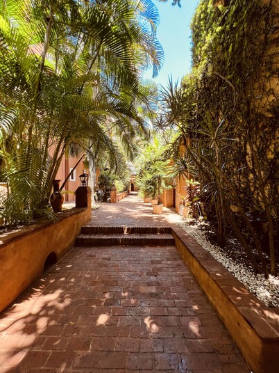 Paseo Colonial - Ermitage 5
