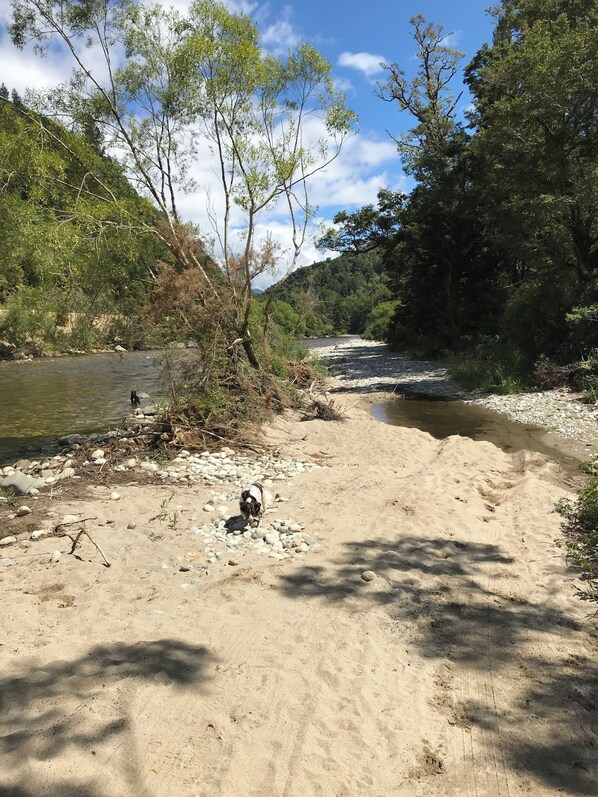 Beach - Reefton - Relaxed West Coast Getaway - Close to Town - Pet Friendly (Reefton)