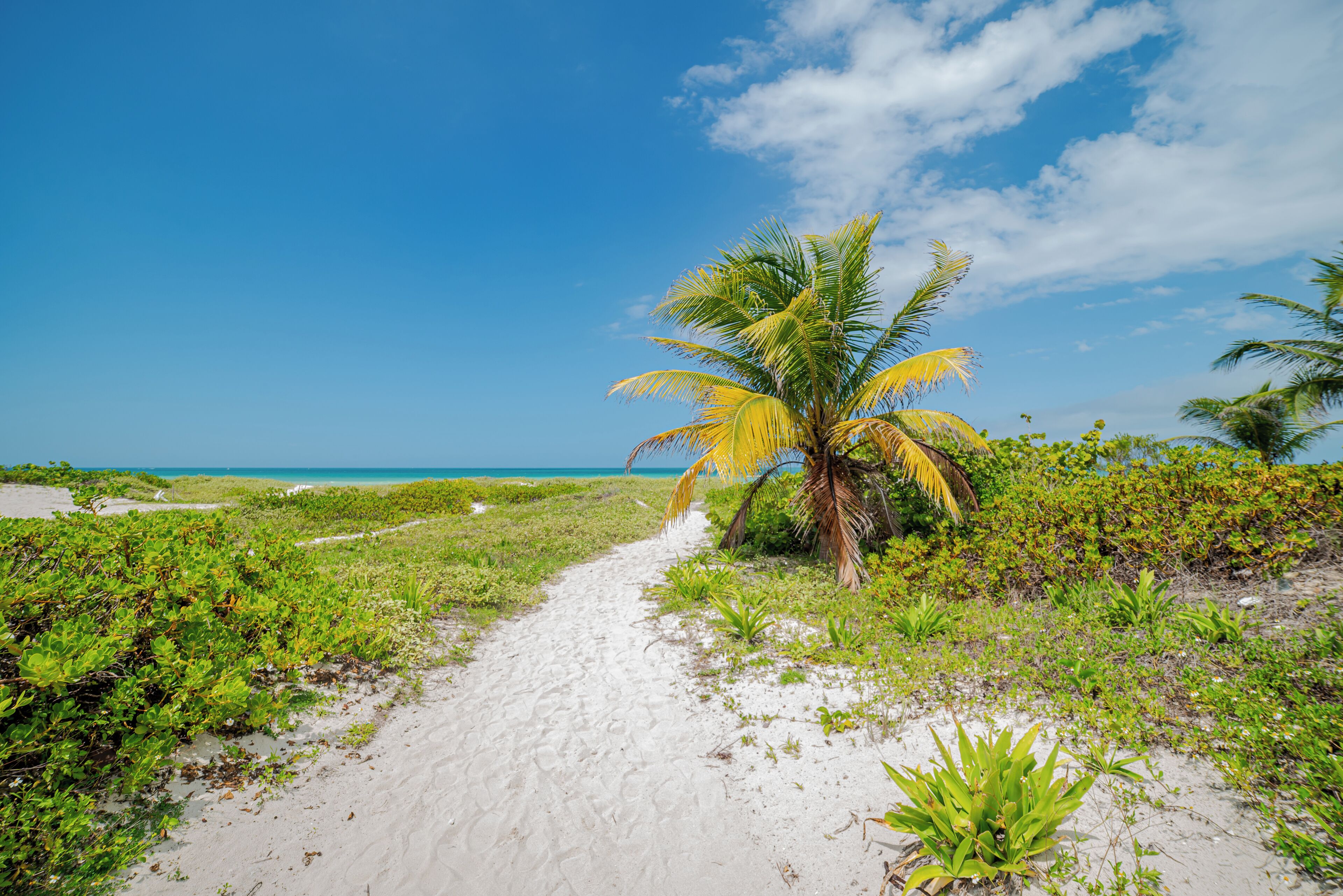 Beach nearby, white sand