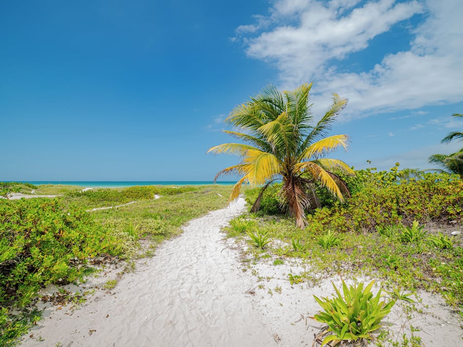 Nær stranden og hvit sand