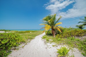 A sandy path leading to a palm tree with a clear view of the ocean. - Arena y Mar Seaside Glamping Adults Only (El Cuyo)