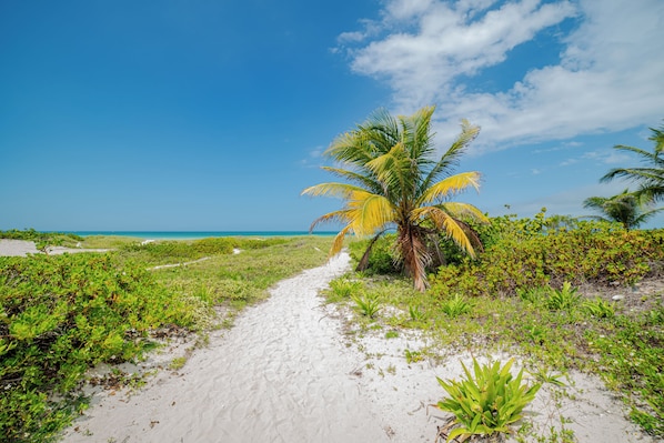 靠近海滩、白沙