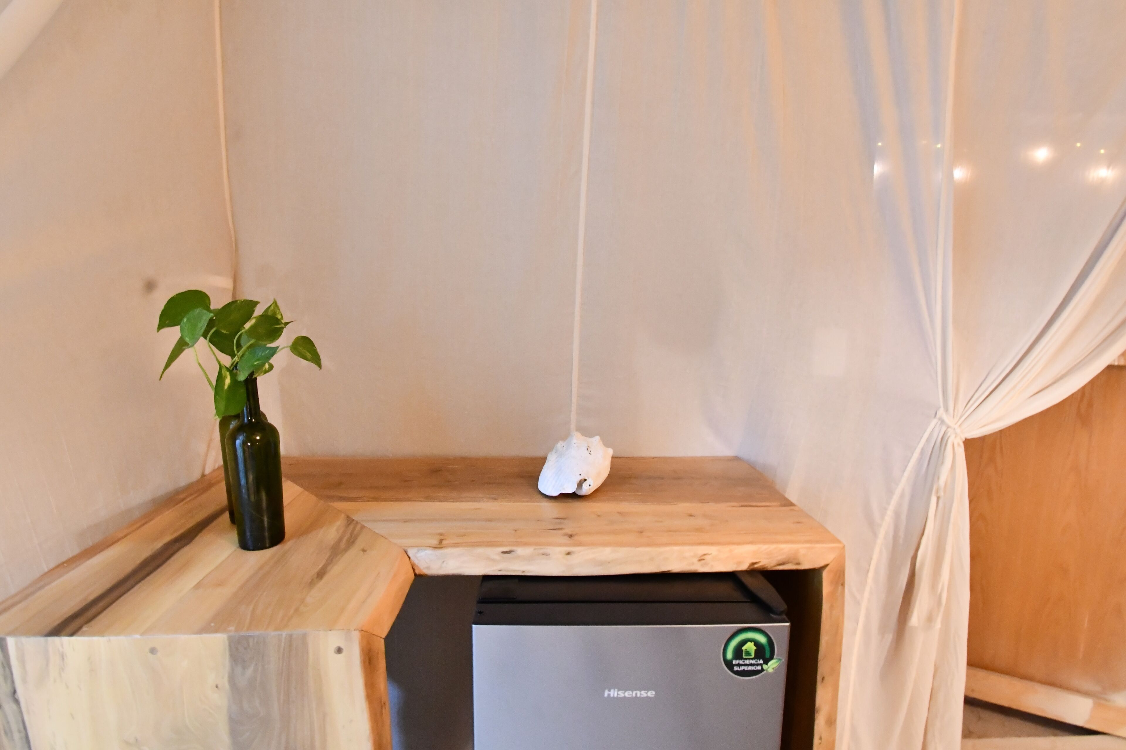 Una habitación pequeña con una mesa de madera, una planta, un objeto blanco colgando del techo y un refrigerador Hisense.