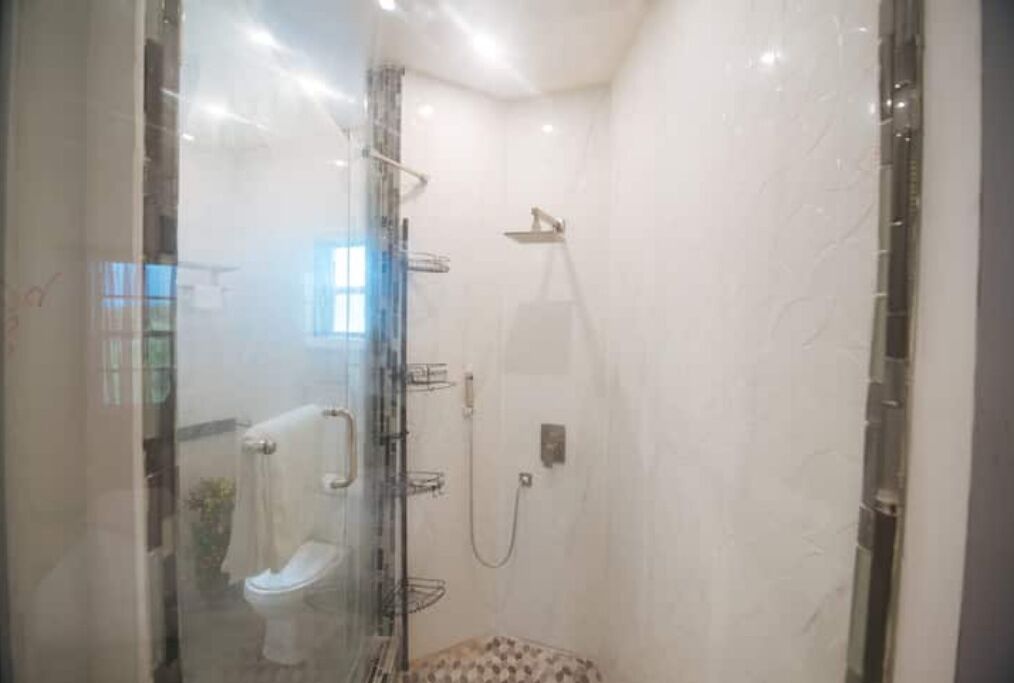 A glass-enclosed shower area with a toilet and a showerhead.