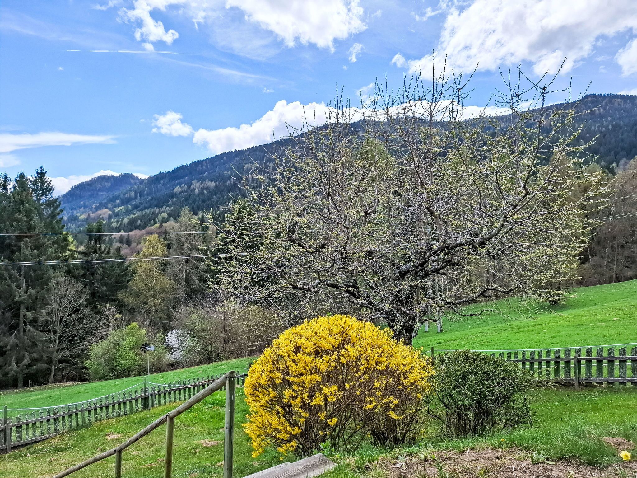 Enceinte de l’hébergement