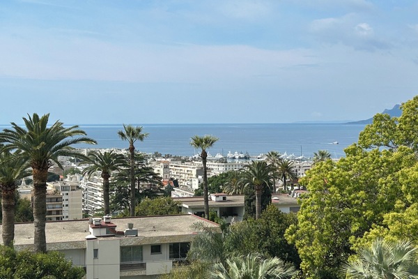 Vista desde la propiedad