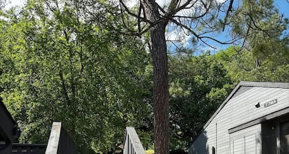 2 Bedroom 2 Bath Condo
