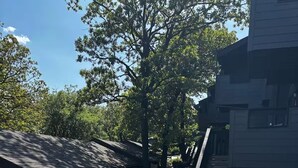A wooden bridge leading to a building with a sloped roof. - 2 Bedroom 2 Bath Condo (Tulsa)