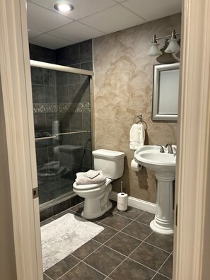 A modern bathroom with a glass shower enclosure, a toilet, a sink, and a mirror. - Spacious guest apartment to enjoy. Only 12 Minutes from Liberty University. (Forest)