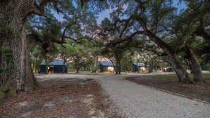 Un sentier de gravier mène à des cabanes entourées de grands arbres.