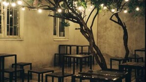 A room with wooden tables and chairs arranged in a casual setting, a tree with hanging lights, and a window with barred glass. - Charming B&B steps to beach, boardwalk, pier, shop, restaurants w bath & WiFi #6 (Santa Cruz)