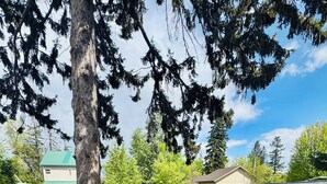 A backyard with a fire pit, wooden benches, and a tree. - 30-Day Min, Walking Distance to Downtown & Lake + Pet Friendly! (Whitefish)