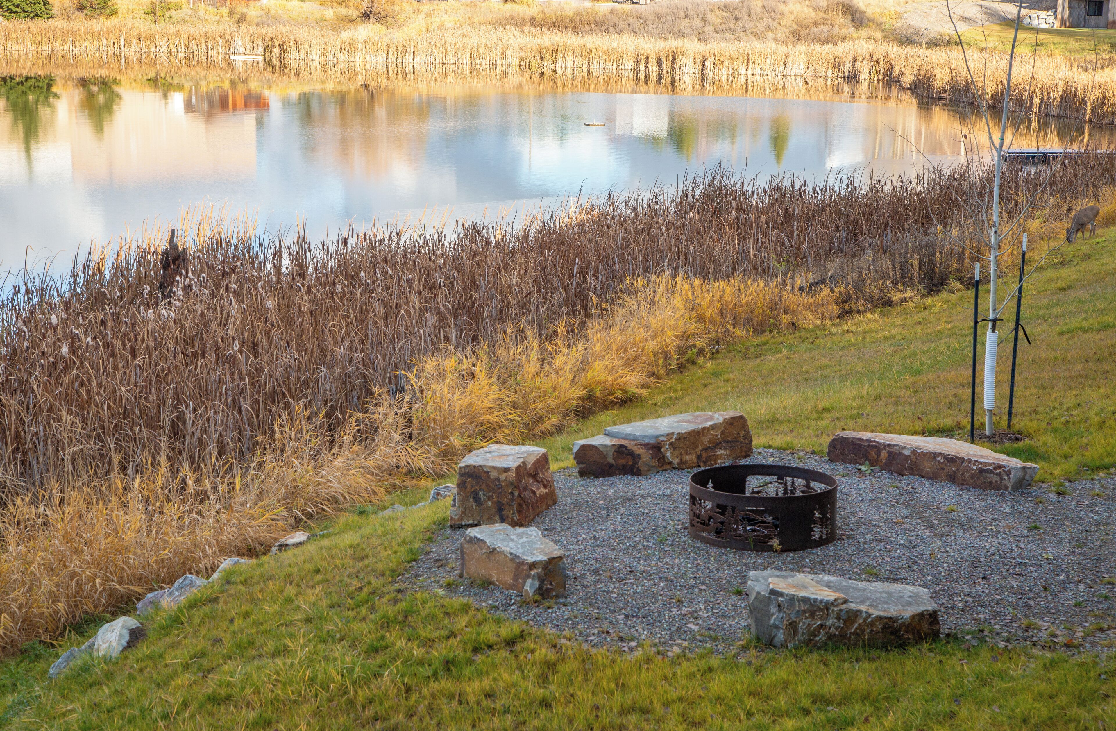 A tranquil lakeside setting with a fire pit and stones, surrounded by tall reeds and a grassy area.