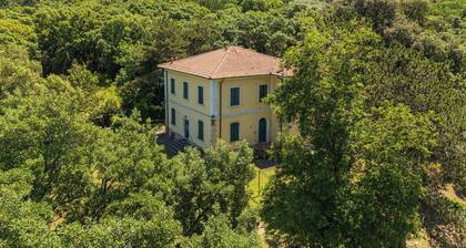 Apartment 'Cesari' with Shared Garden