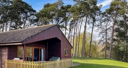 Contemporary Lakeview Lodge 6