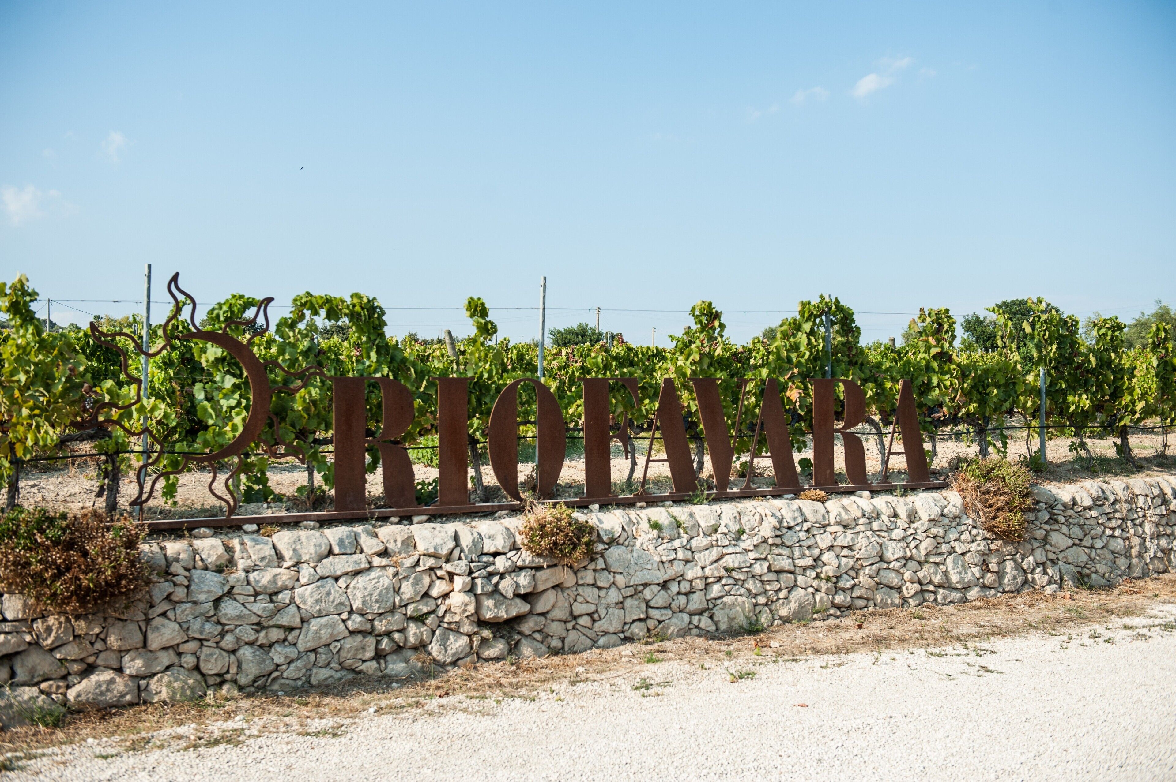 A vineyard with a stone wall and metal letters spelling 'VINEYARDS' in the background.
