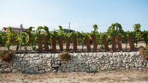 A vineyard with a stone wall and metal letters spelling 'VINEYARD' in the foreground. - Room 'Riofavara Winery - Suite' with Private Terrace, Wi-Fi and Air Conditioning (Ispica)