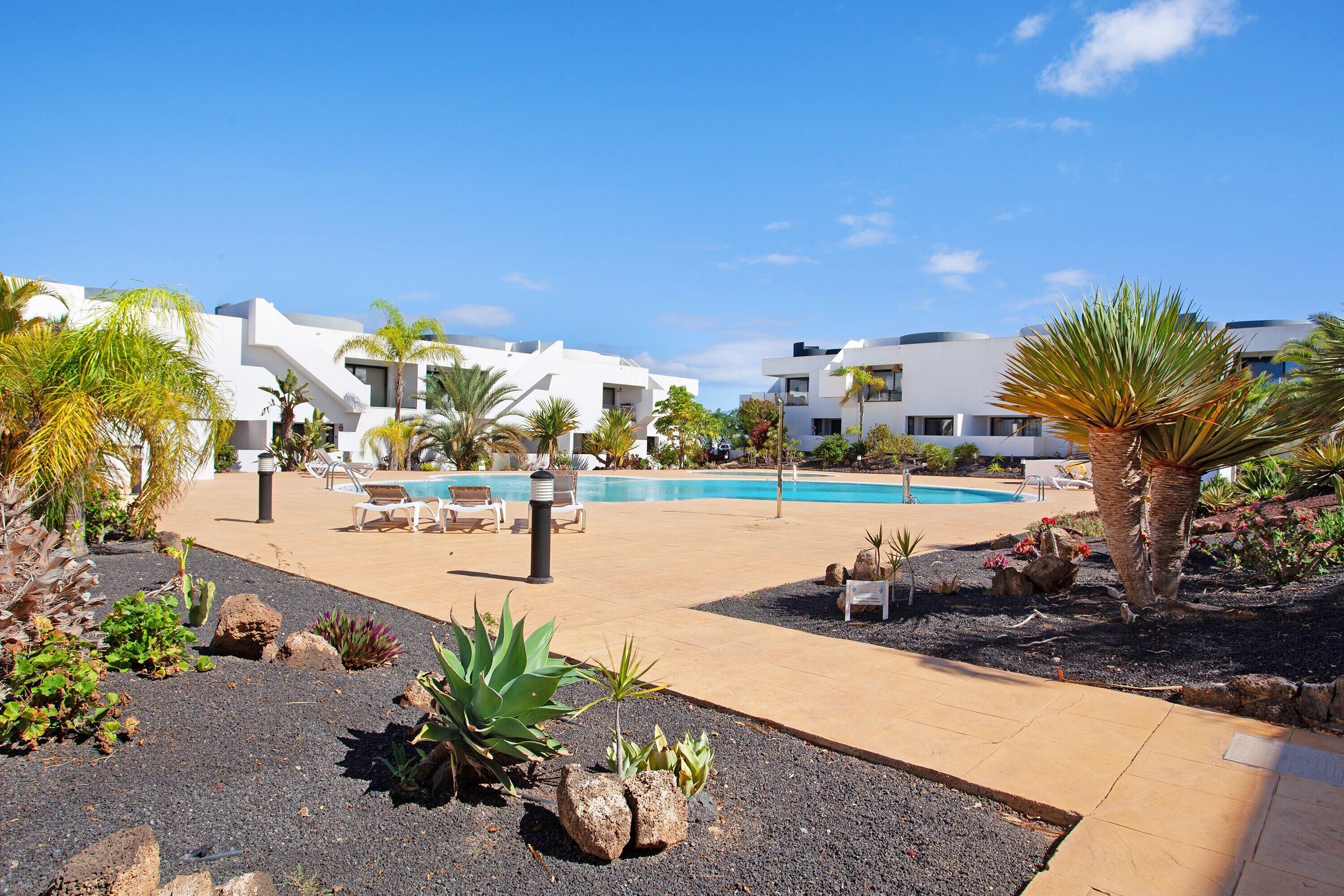 A pool area with lounge chairs, a swimming pool, and a landscaped garden with rocks and plants.