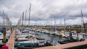 Un puerto deportivo con numerosas embarcaciones amarradas, una pasarela de madera y una superficie de agua tranquila.