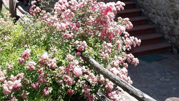 Un bâtiment en pierre avec un escalier menant à une fenêtre ornée de fleurs.