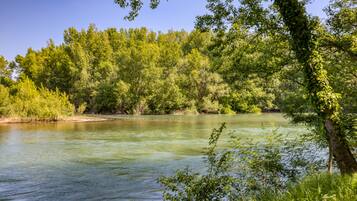 Un río rodeado de densa vegetación y árboles.