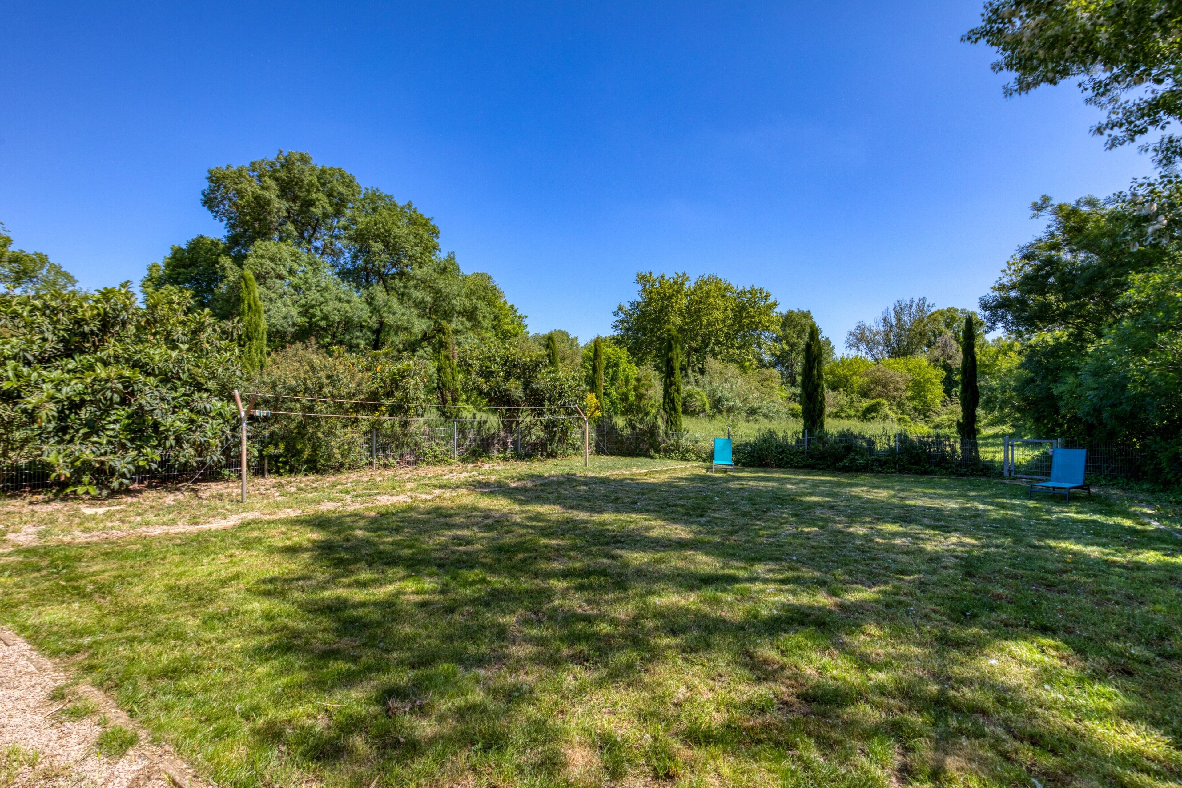 A grassy outdoor area with trees and a blue structure.