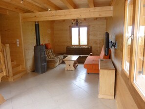 Télévision, cheminée, lecteur de DVD, table de tennis de table