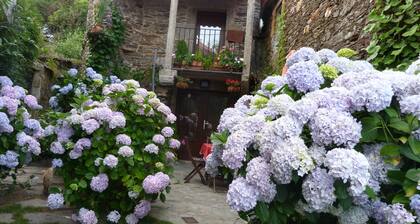 Rural Apartment Neada with Terrace