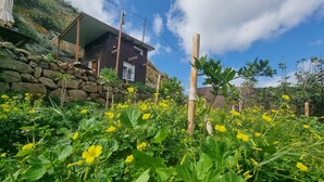 Una casa con un muro de piedra, una valla de madera y flores amarillas en primer plano.